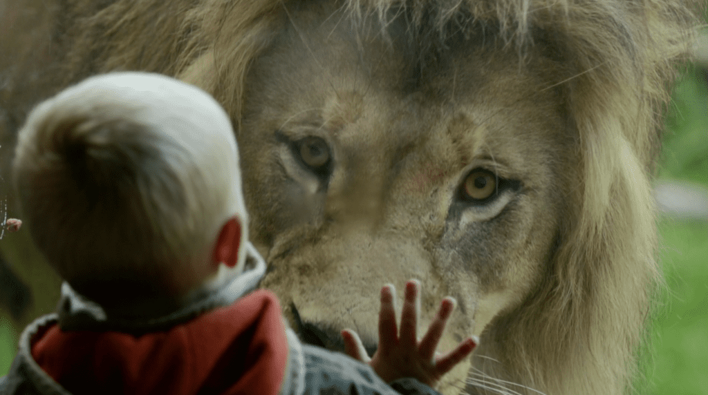 zoo