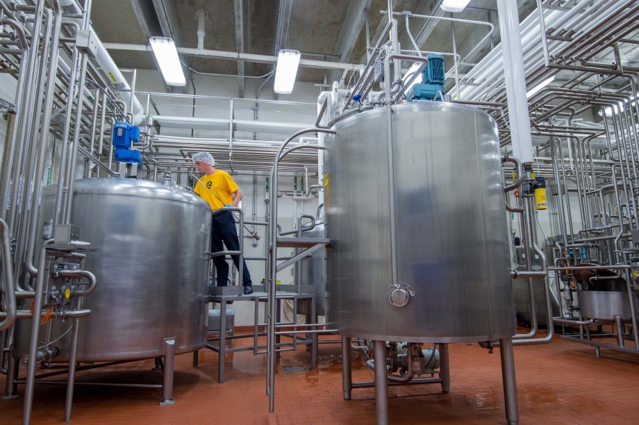 Ag careers for Sioux Falls-area kids? Meet the Roosevelt alum finding fast  success in the dairy industry - Pigeon605