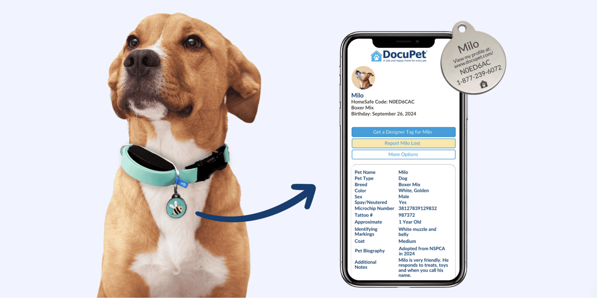 Sioux Falls changes approach to pet licenses